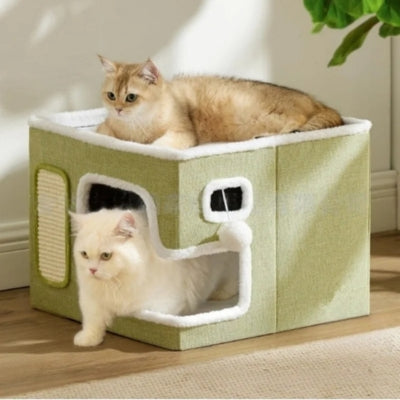 chat relaxant sur panier chatons ragdoll sortant de son intérieur