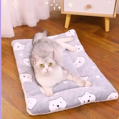chat relaxant sur son tapis chat