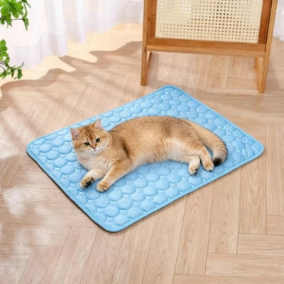 chat relaxant sur tapis rafraichissant chat bleu dans salon