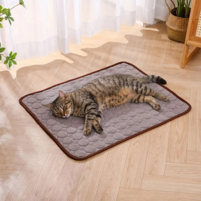 chat relaxant sur tapis rafraichissant chat marron dans salon