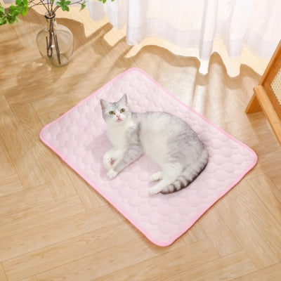 chat relaxant sur tapis rafraichissant chat rose dans salon
