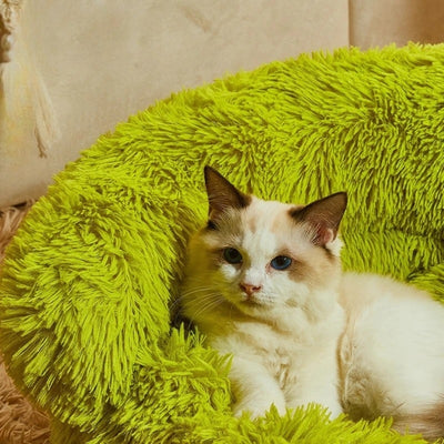 chat relaxe dans grand panier chat