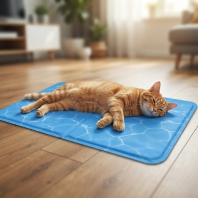 chat roux endormi étendu tapis refroidissement pour chat bleu motif eau