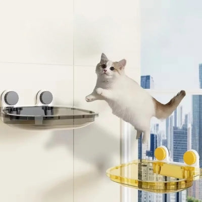 chat saute d'un hamac chat suspendu à un autre