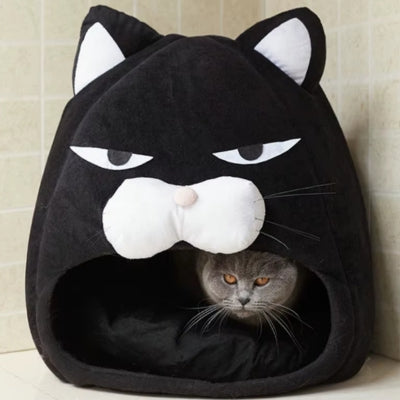 chat se cachant  couffin chaton grognon