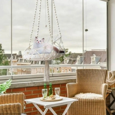 chat se prélassant au soleil dans hamac chat suspendu dans terrasse