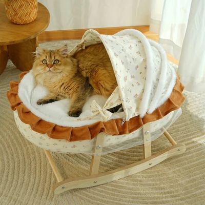 chat se repose dans couffin chaton