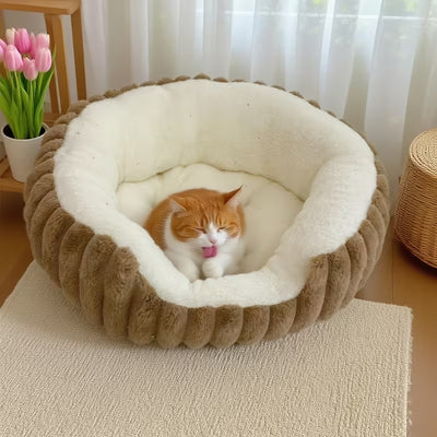 chat se toilette dans panier grand chat marron