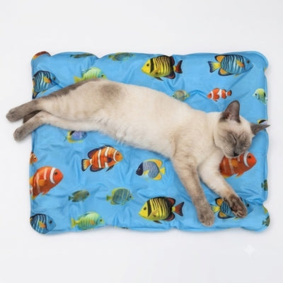 chat siamois étendu tapis refroidissement chat poissons