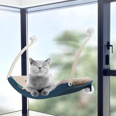 chat somnolant sur hamac chat suspendu bleu
