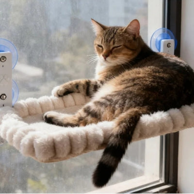 chat somnolant sur hamac chat suspendu