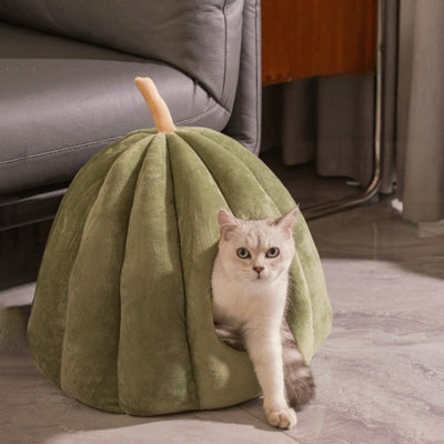 chat sortant d'une des niches pour chat vert kaki
