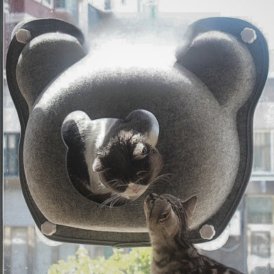 chat sortant hamac fenêtre chat s'amuse avec autre chat