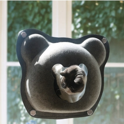 chat sortant hamac fenêtre chat