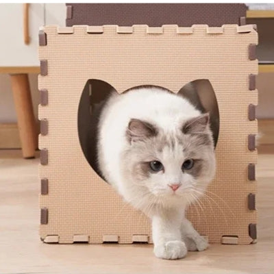 chat sortant maison pour chaton