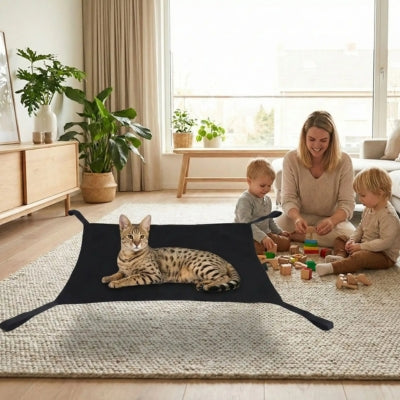 chat sur hamac chat suspendu par terre maman joue enfants