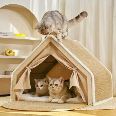 chat sur toit maison pour chat deux chats relaxant dedans