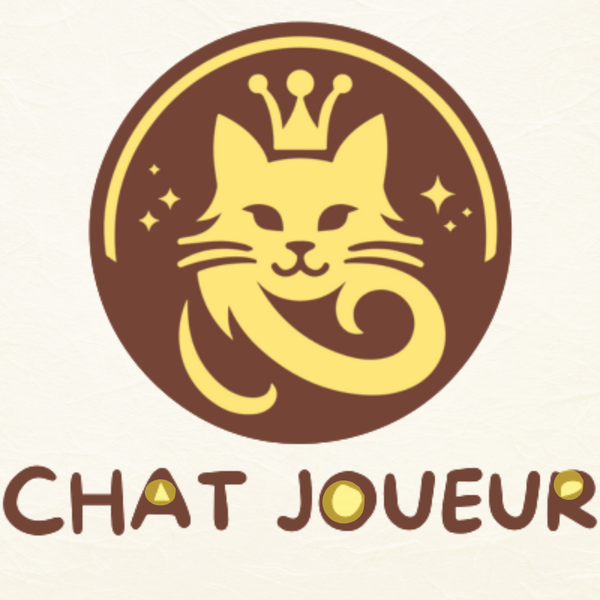 Chat Joueur