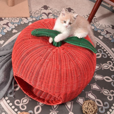 chaton accroché au toit chaton panier