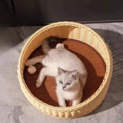 chaton allongé dans panier en rotin pour chat