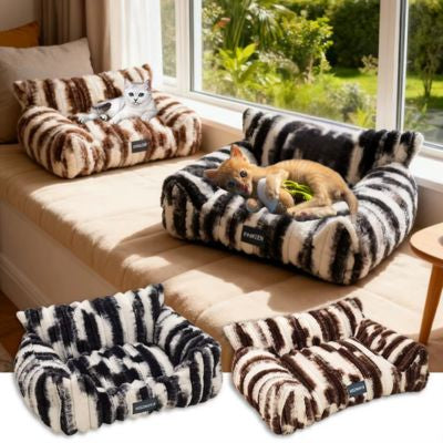 chaton allongé sur panier zèbre chic autre sur moka crème