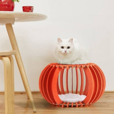 chaton assis sur dessus cocon pour chat