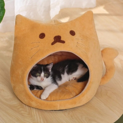 chaton blotti dans niche pour chaton orange