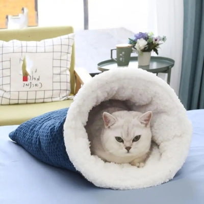 chaton blotti dans nid chaton bleu marine
