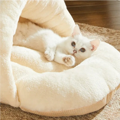 chaton blotti dans nid chaton 