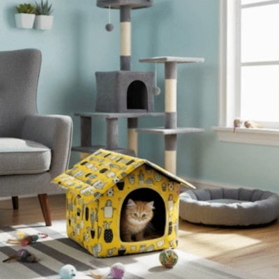 chaton caché dans maison pour chat