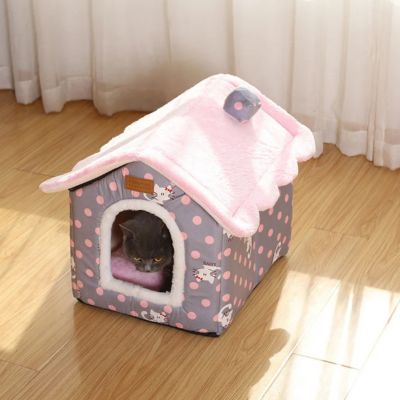 chaton caché dans maison pour chaton minette