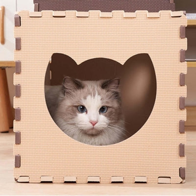 chaton caché dans maison pour chaton