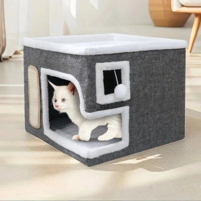 chaton caché dans panier chatons gris