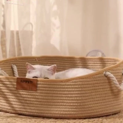 chaton caché dans panier chatons 