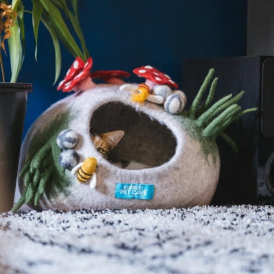 chaton caché dans sa niche pour chaton