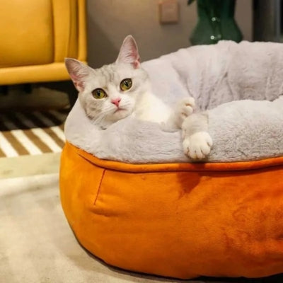 chaton confortablement detendu dans coussin chaton