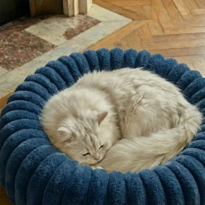 chaton couché en boule dans couffin pour chat