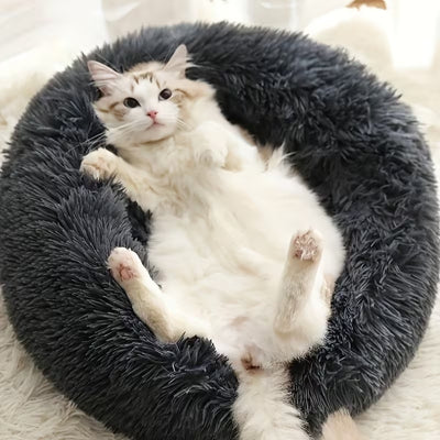 chaton couché sur dos sur coussin chat cocoonut