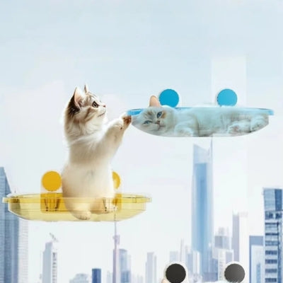 chat debout sur son hamac chat suspendu