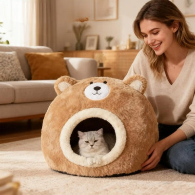 chaton detendu couffin chaton  maîtresse contente