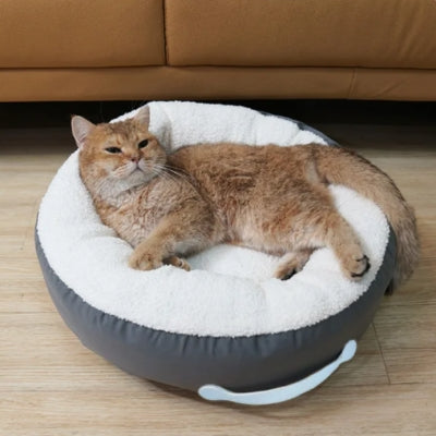 chaton detendu coussin chaton