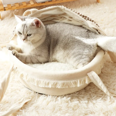 chaton detendu dans couffin chaton sur tapis blanc