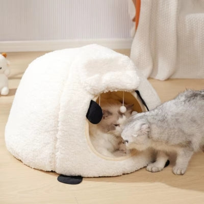 chaton detendu dans maison chaton autre chaton voulant entrer aussi