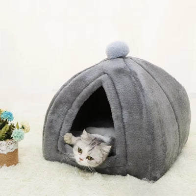 chaton detendu dans maison chaton grise