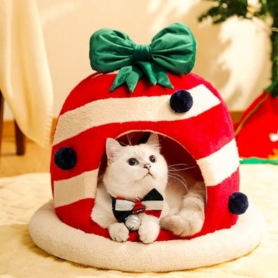 chaton detendu dans niche chat miao noel