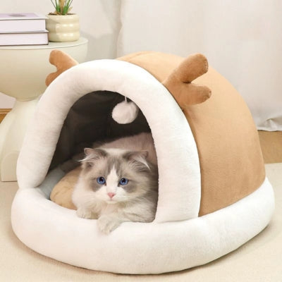 chaton detendu dans nid chaton beige doré