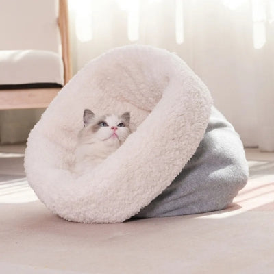 chaton detendu dans nid royal gris perle