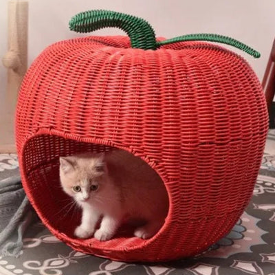 chaton detendu dans son chaton panier