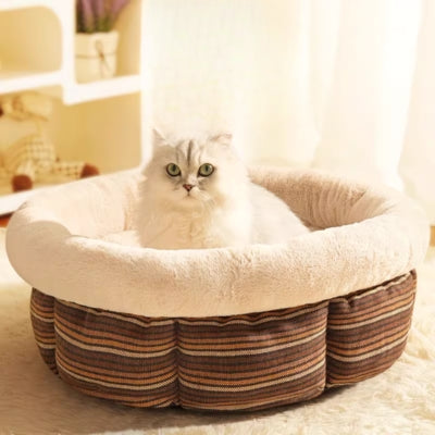 chaton detendu dans son couffin chaton