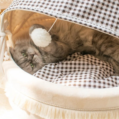 chaton detendu joue avec pompon couffin chaton